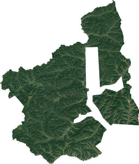 柴河林业局卫星图