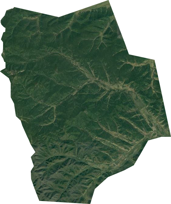 扎兰屯市林业局卫星图