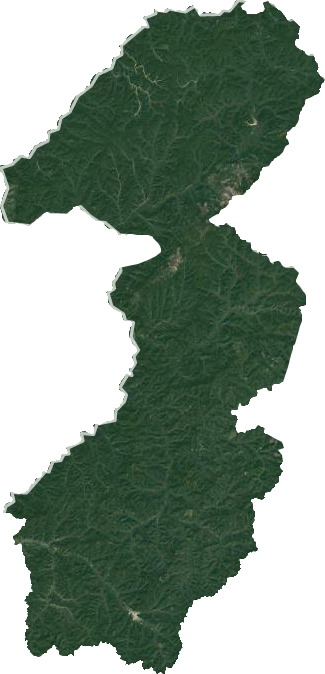 莫尔道嘎镇卫星图