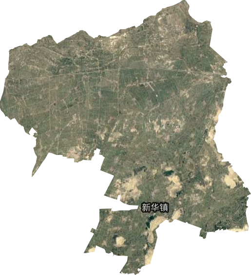新华镇卫星图