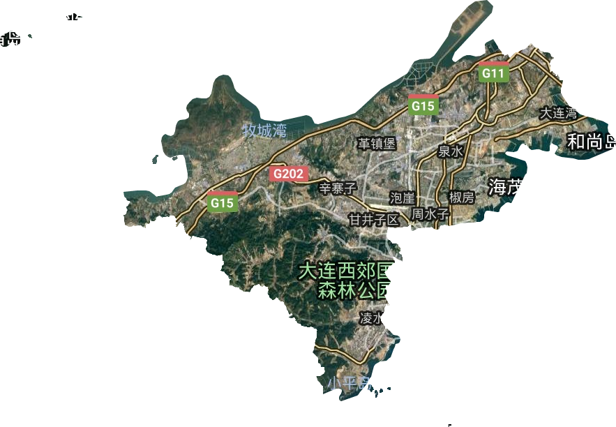 甘井子区卫星图
