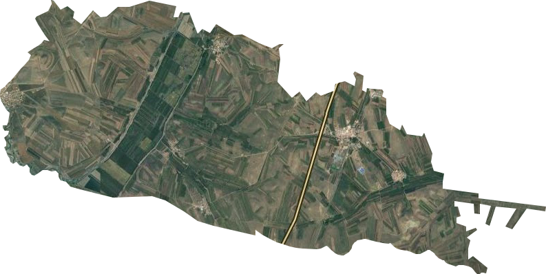 八一牧场卫星图