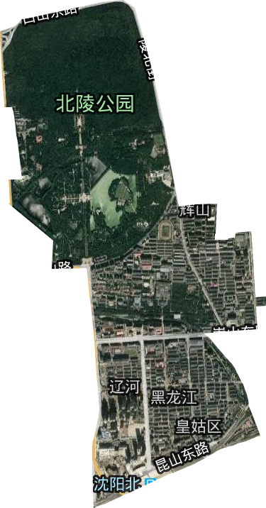 辽河街道卫星图