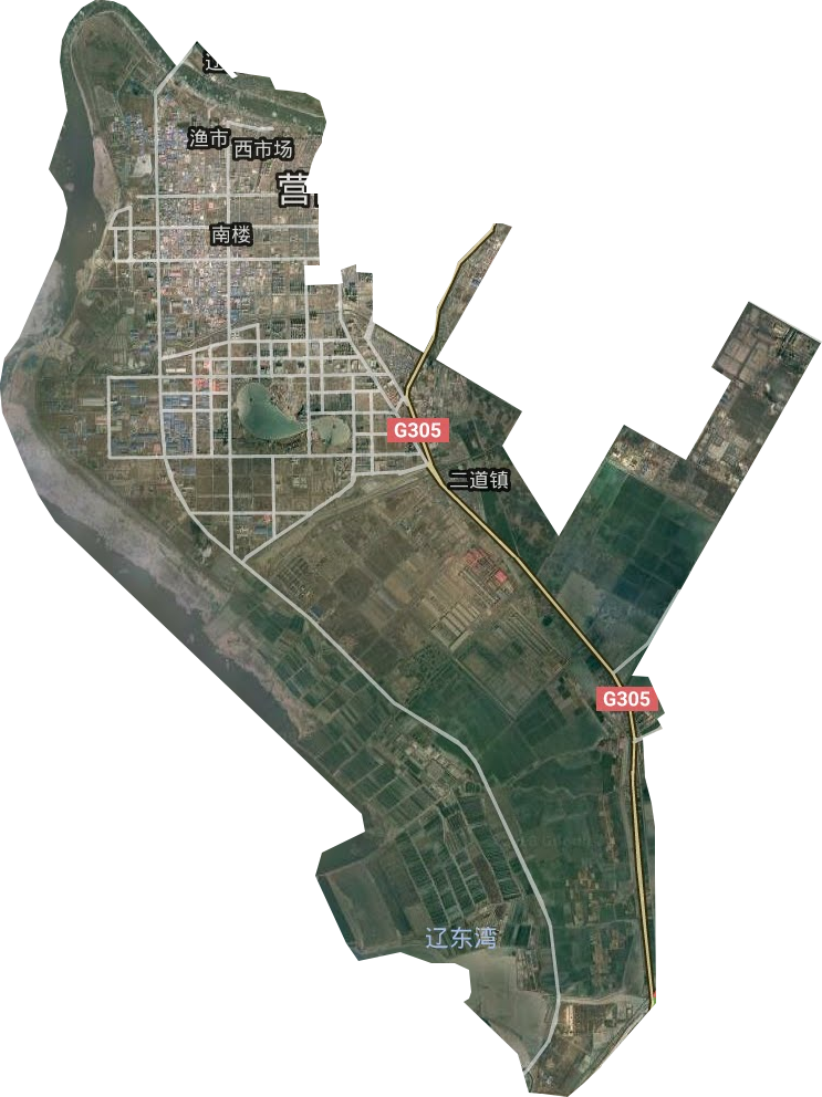 西市区卫星图