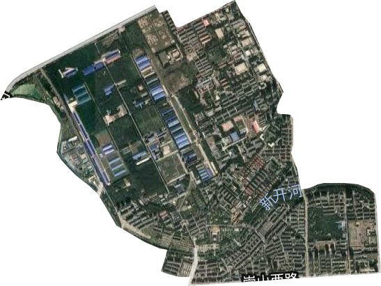 舍利塔街道卫星图