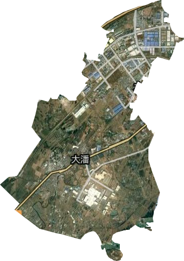 大潘街道卫星图