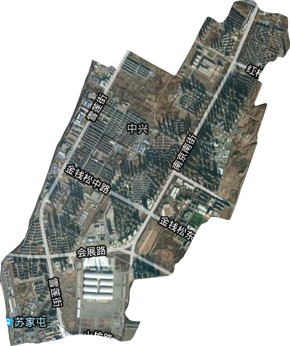 中兴街道卫星图