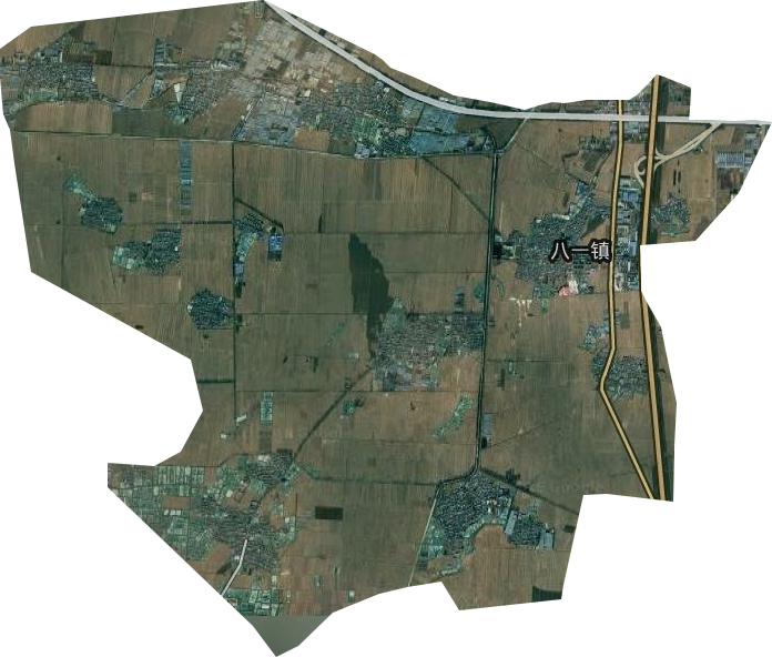 八一街道卫星图