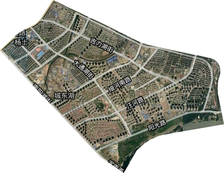 城东湖街道卫星图