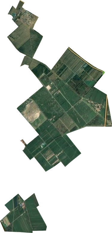 三台子畜牧场卫星图