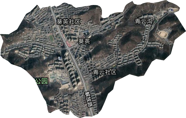 葵英街道卫星图