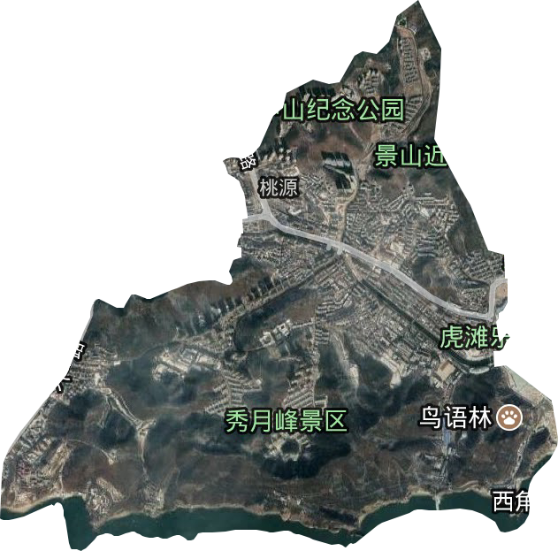 桃源街道卫星图