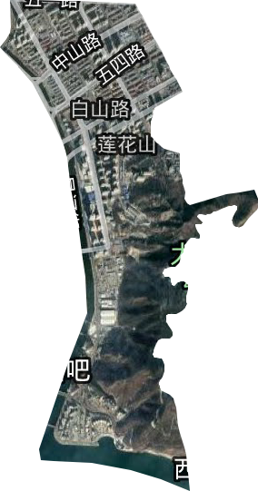 白山路街道卫星图