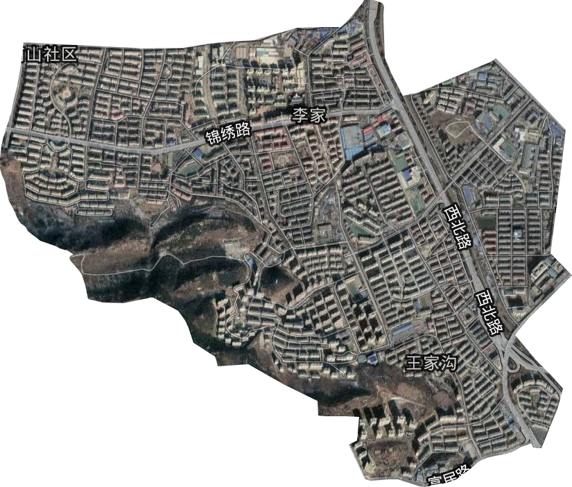 李家街道卫星图