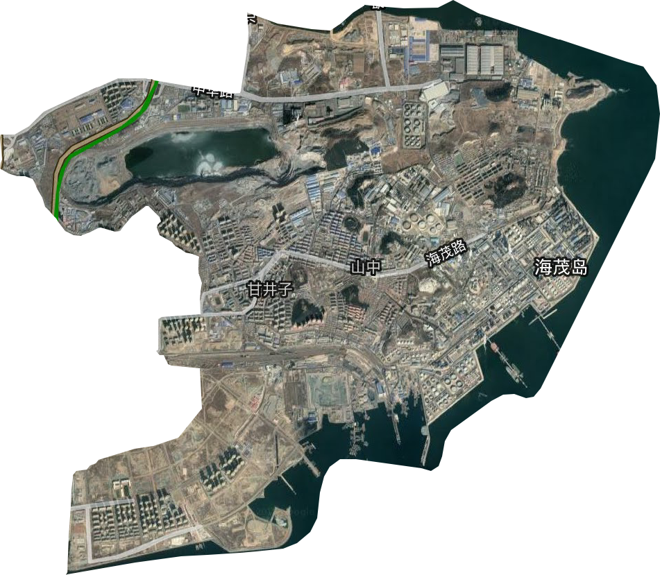甘井子街道卫星图
