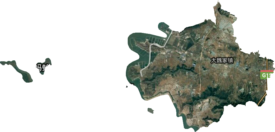 大魏家街道卫星图