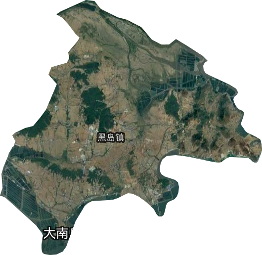 黑岛镇卫星图