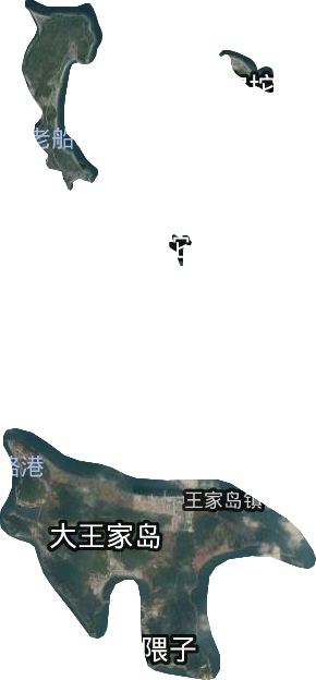 王家镇卫星图