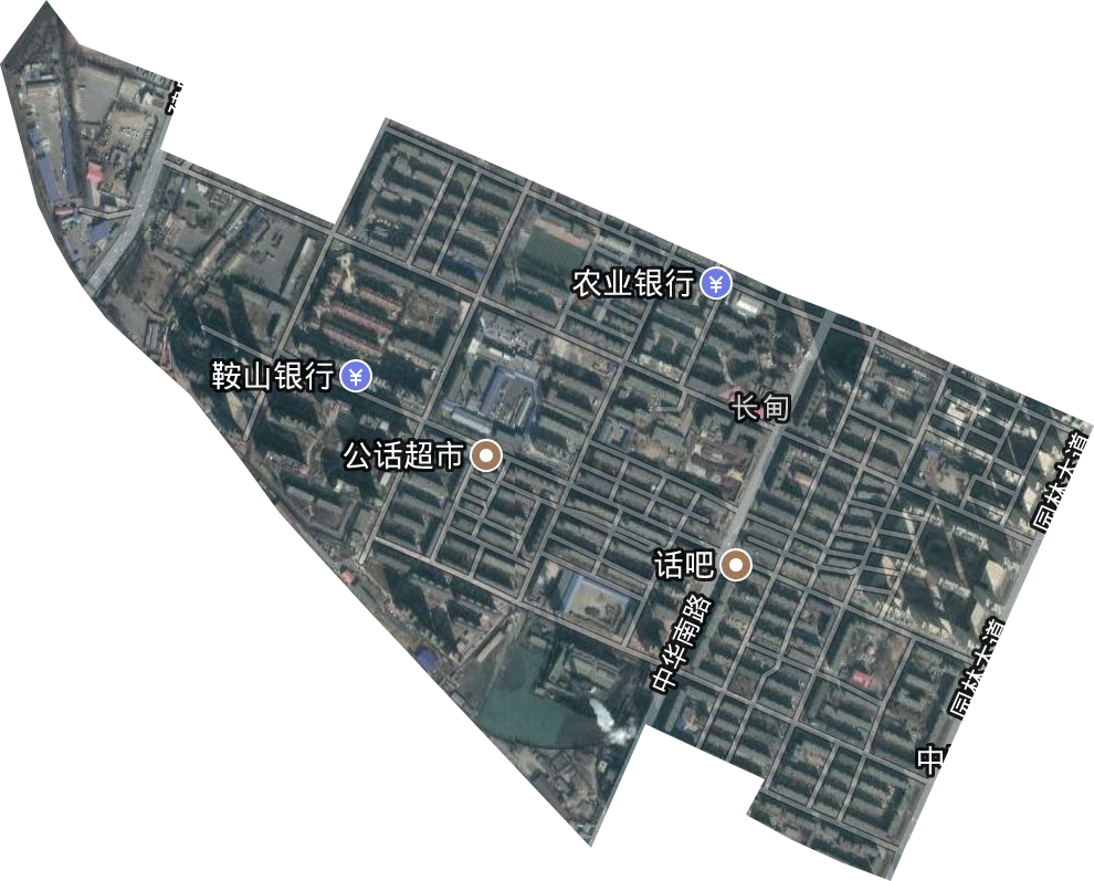 长甸街道卫星图