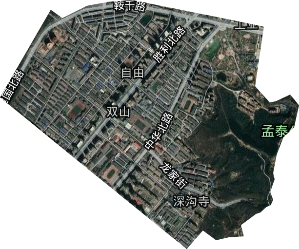 双山街道卫星图
