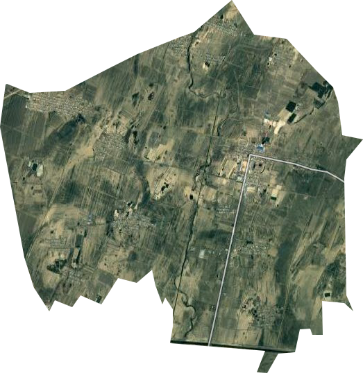 西平林场卫星图