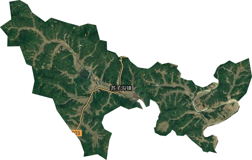 苏子沟镇卫星图