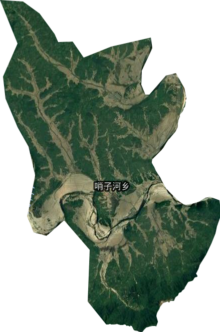 哨子河乡卫星图