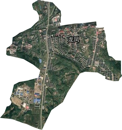 龙凤街道卫星图