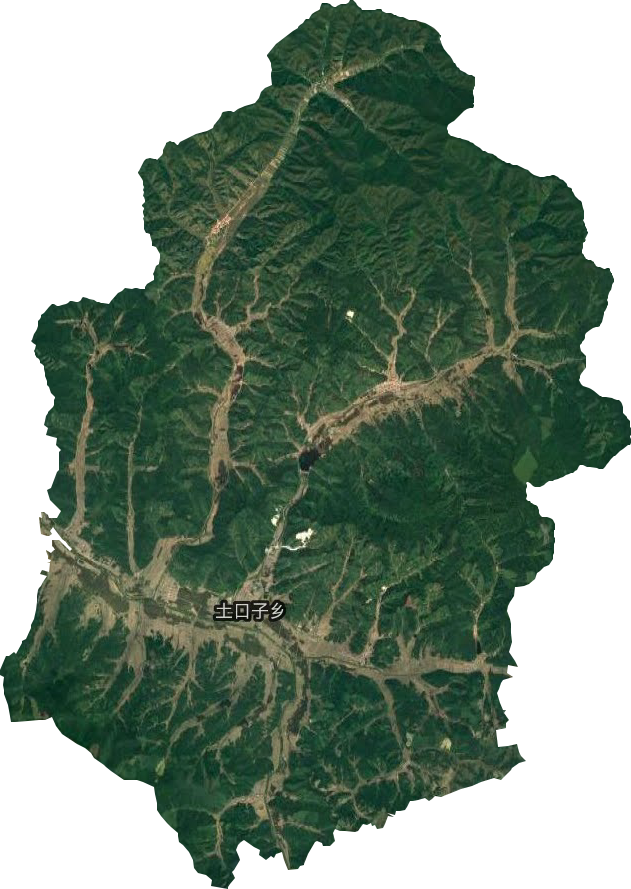 土口子乡卫星图