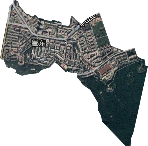 崔东街道卫星图