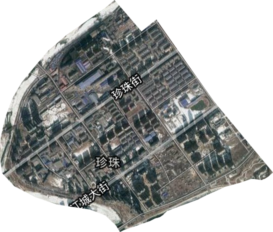 珍珠街道卫星图