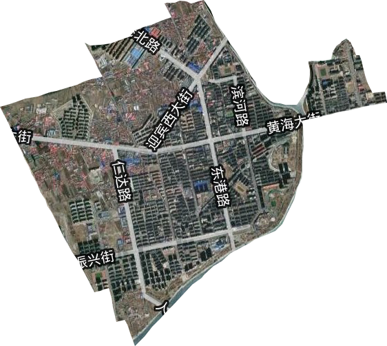 大东街道卫星图