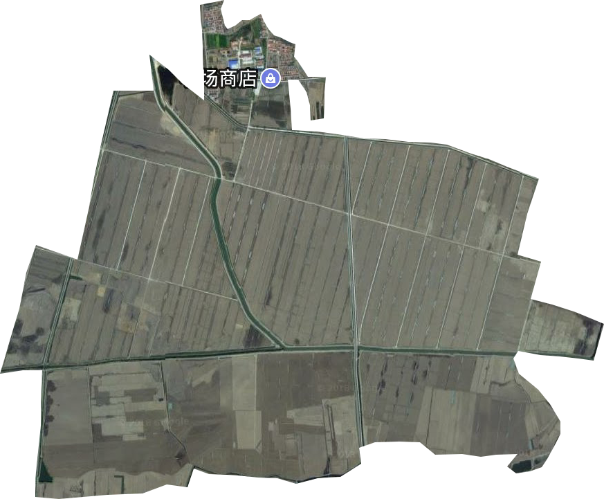 示范农场卫星图