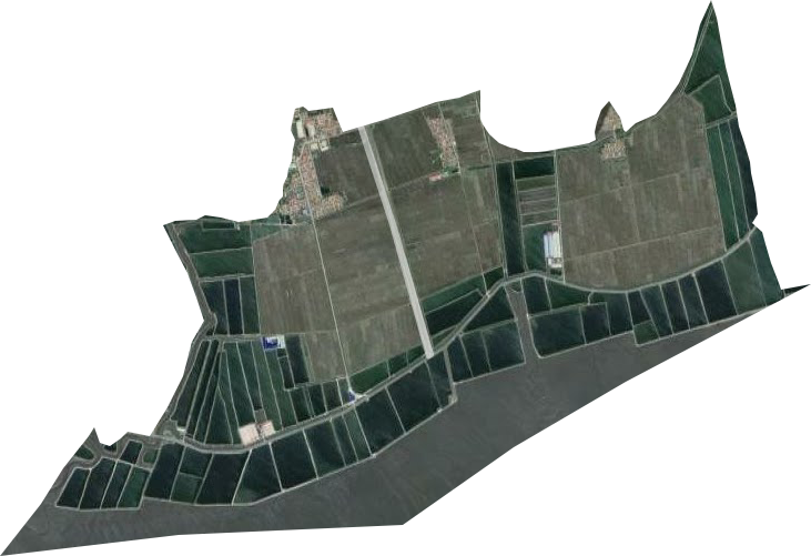 兴隆农场卫星图