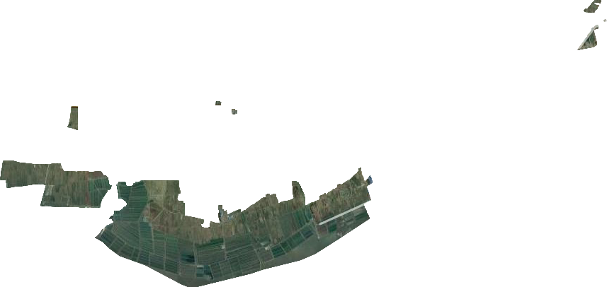 五四农场卫星图