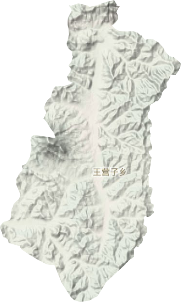 王营子乡地形图