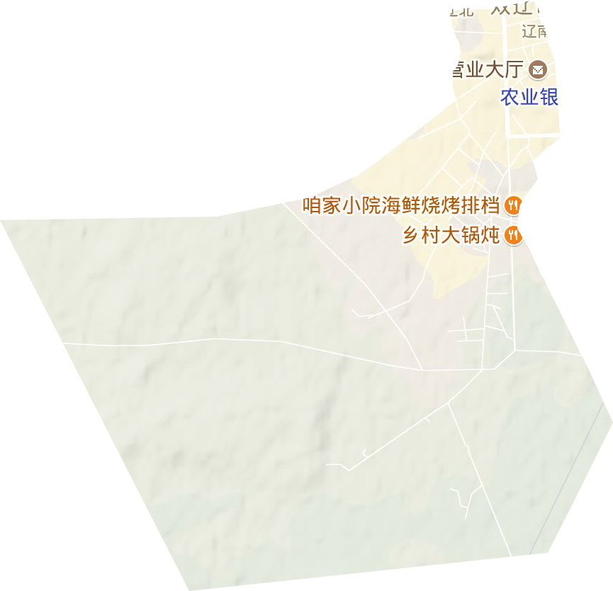辽南街道地形图