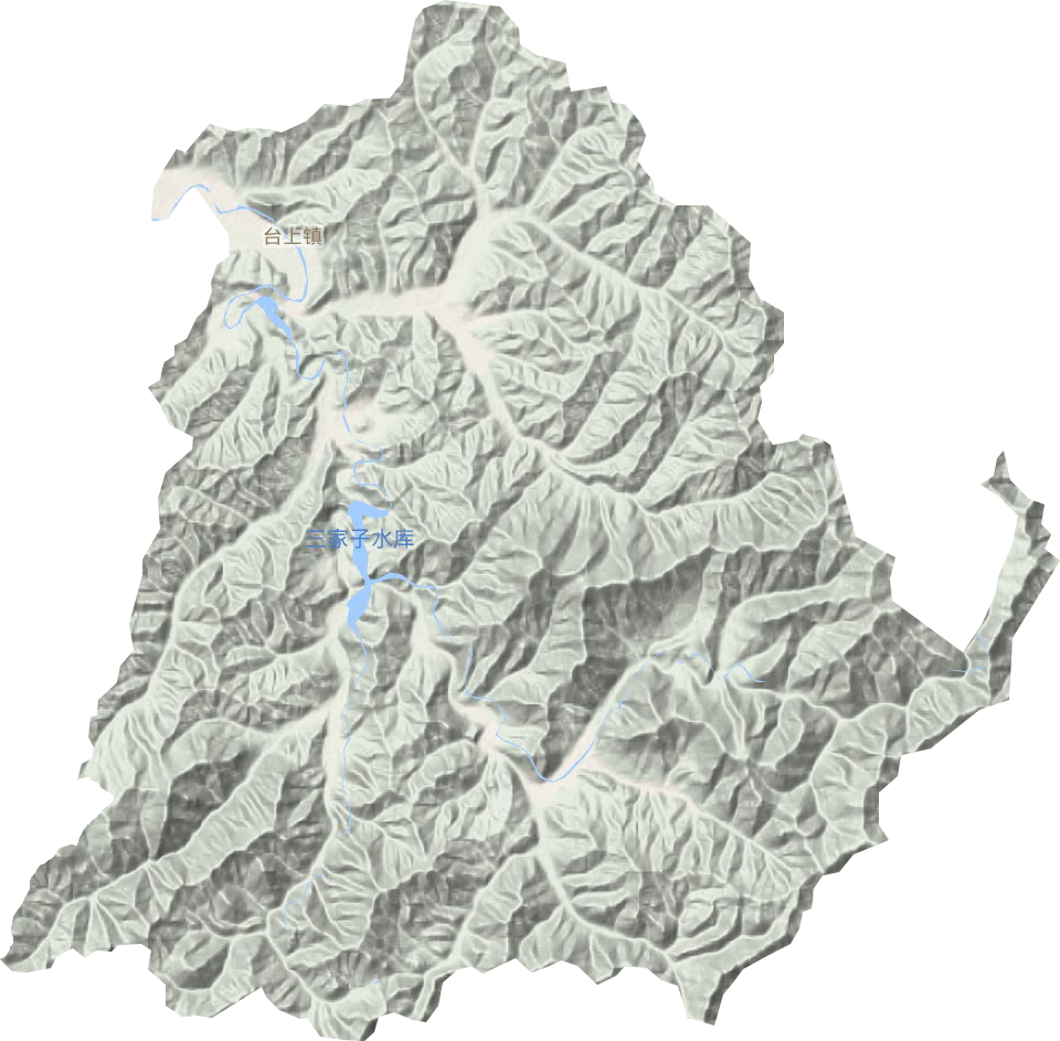 台上镇地形图