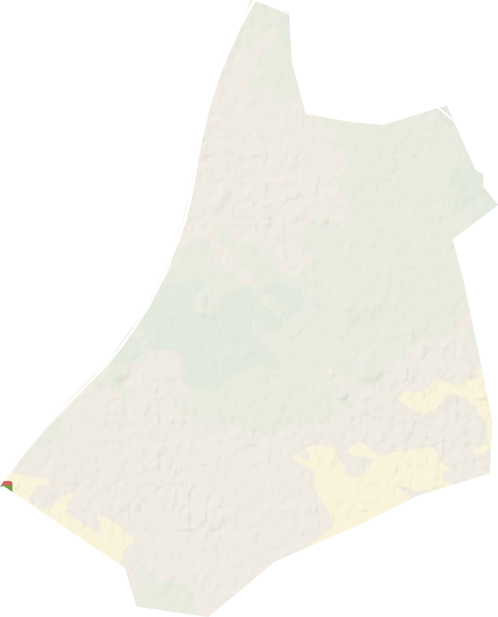 双龙工业园区（特殊乡镇）地形图