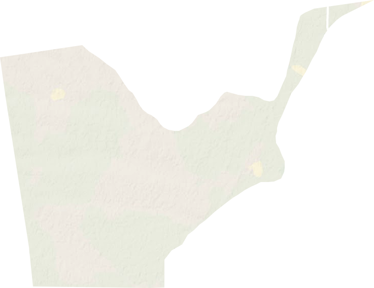 大岗林场地形图