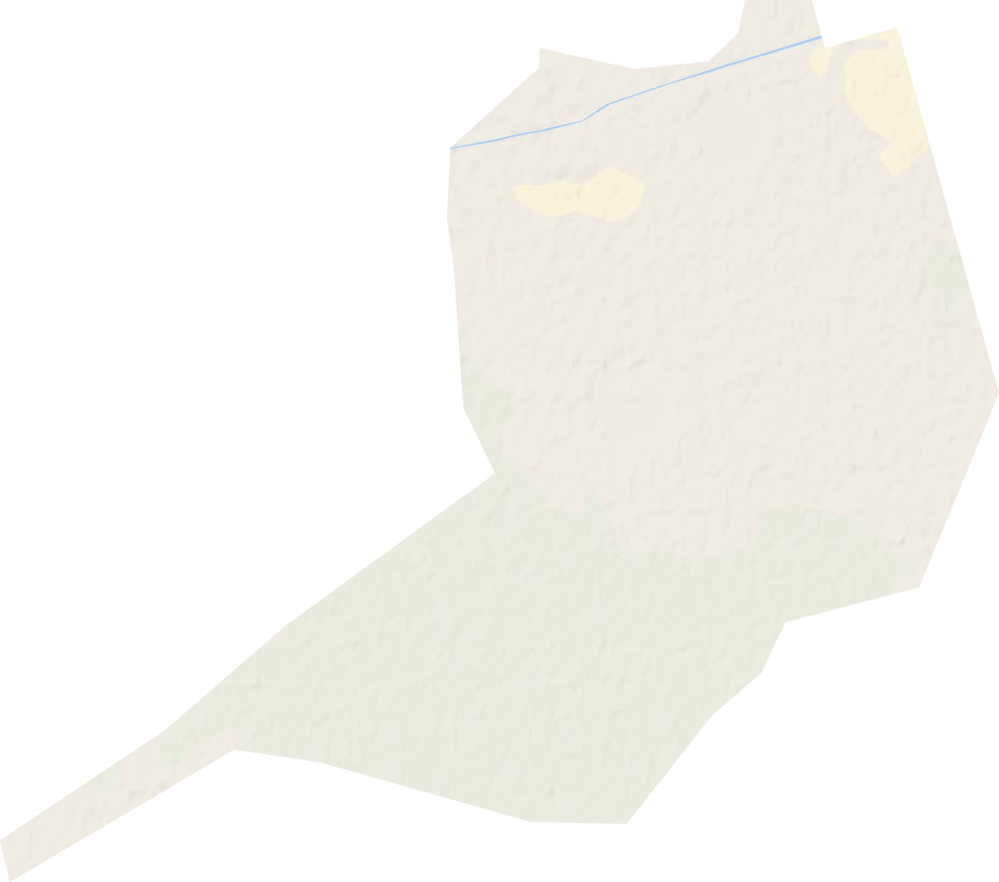 大安马场地形图