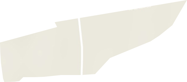 东山农场地形图