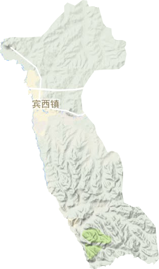 宾西镇地形图