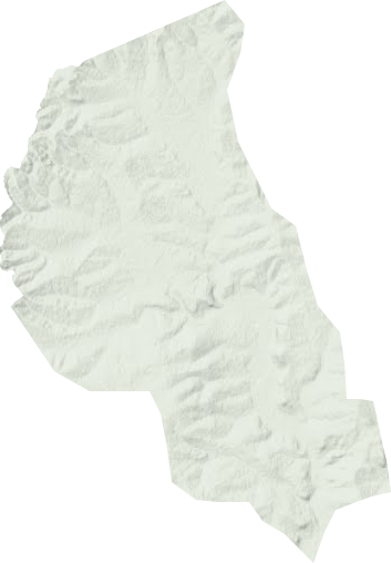 东卡林场地形图