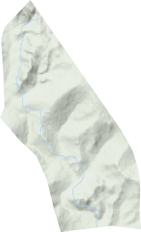 红光林场地形图