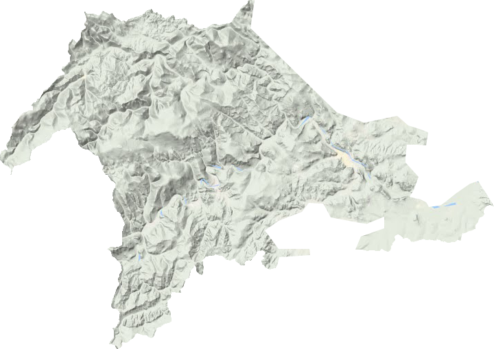 长汀镇地形图