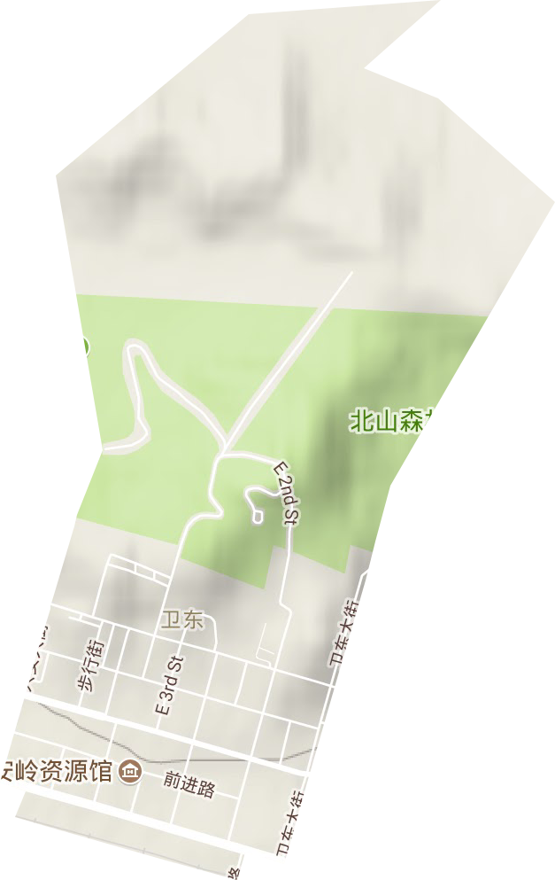 卫东街道地形图