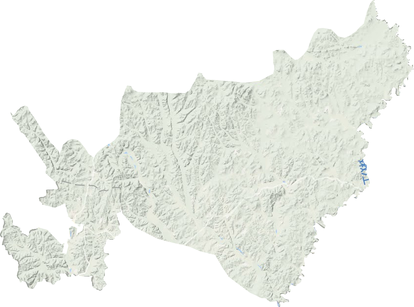 白桦镇地形图