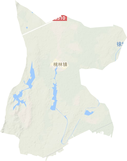 桃林镇地形图