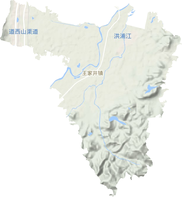 王家井镇地形图